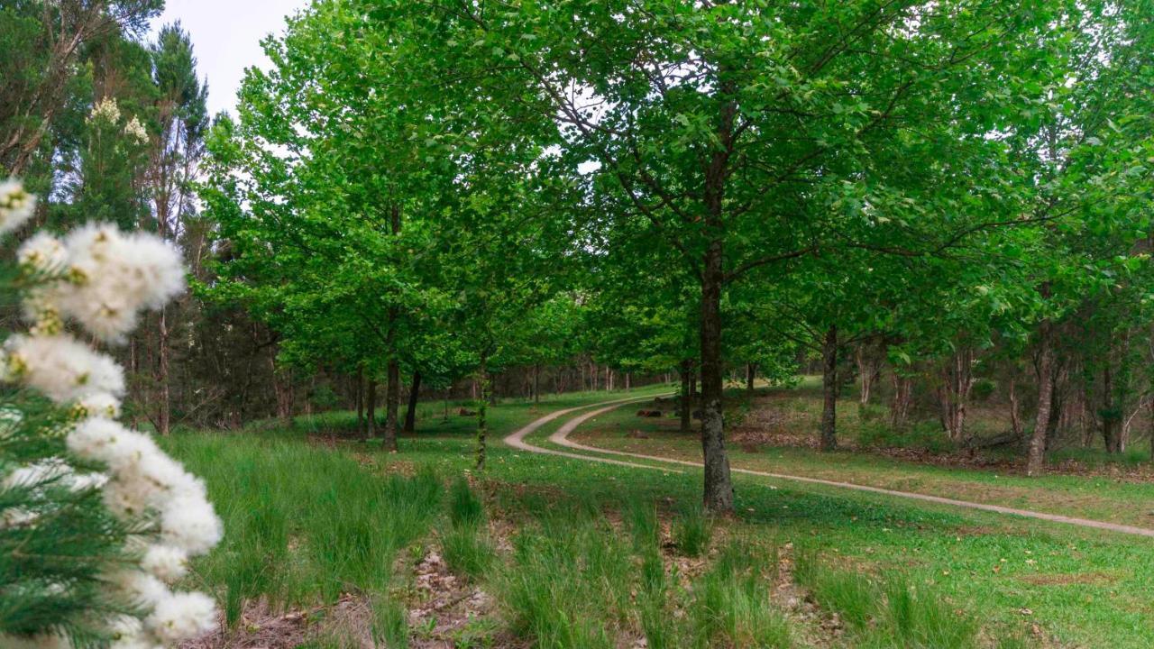Arum Hill Lodge Balgowan Екстер'єр фото