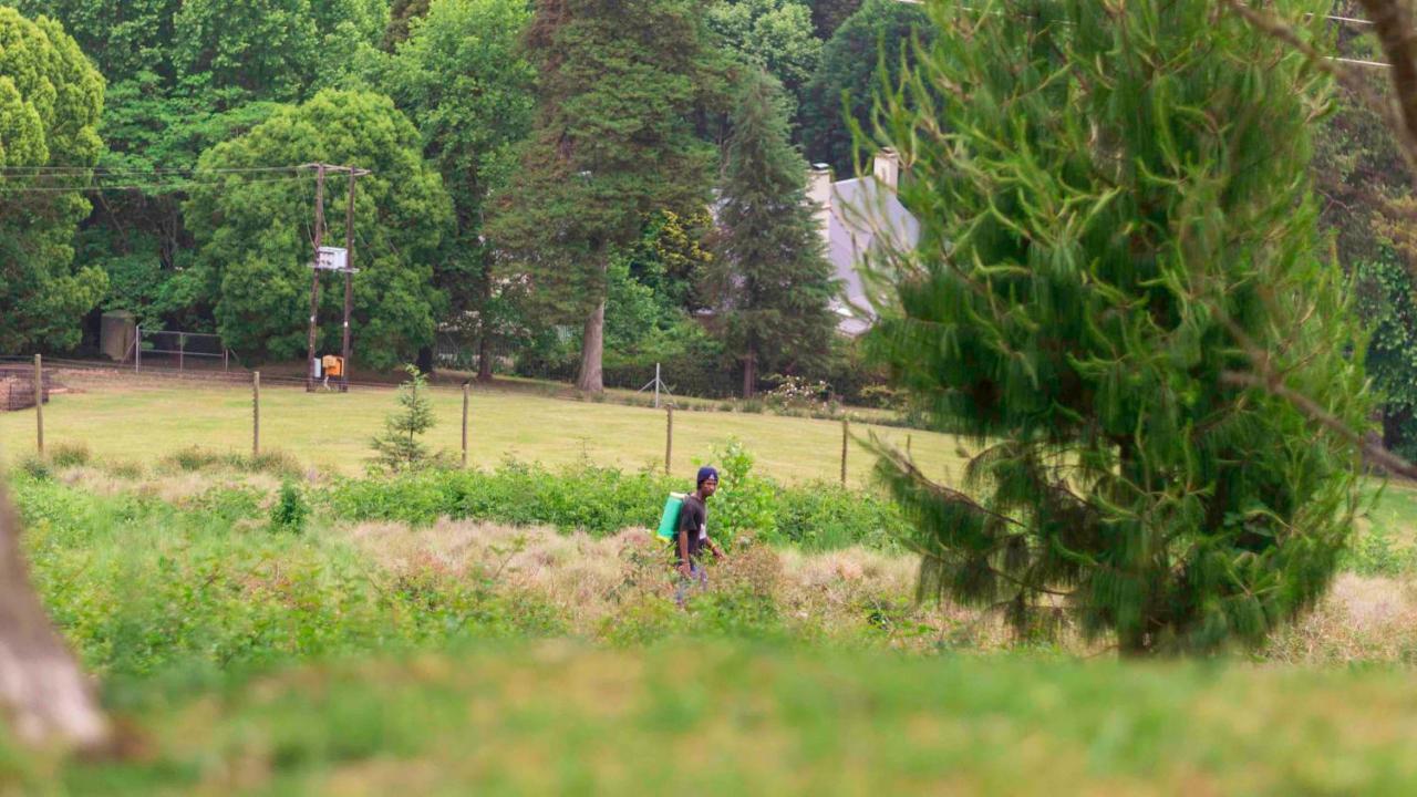 Arum Hill Lodge Balgowan Екстер'єр фото
