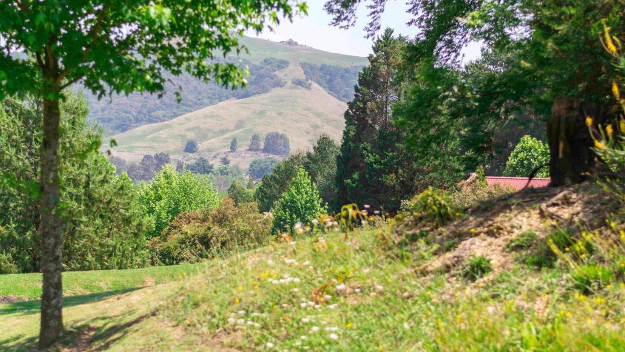 Arum Hill Lodge Balgowan Екстер'єр фото